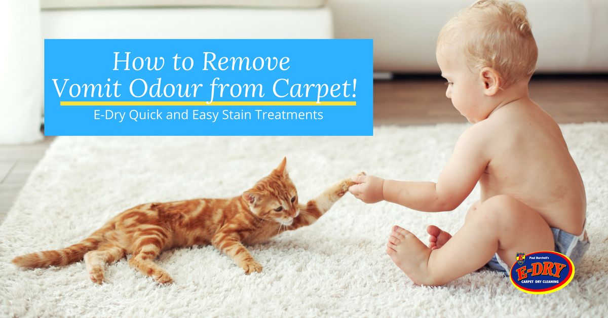 How To Remove Vomit Odour From Carpet
