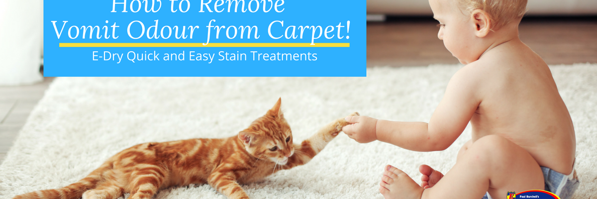 How To Remove Vomit Odour From Carpet