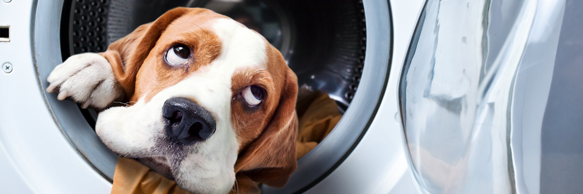 How to Clean Your Washing Machine Naturally