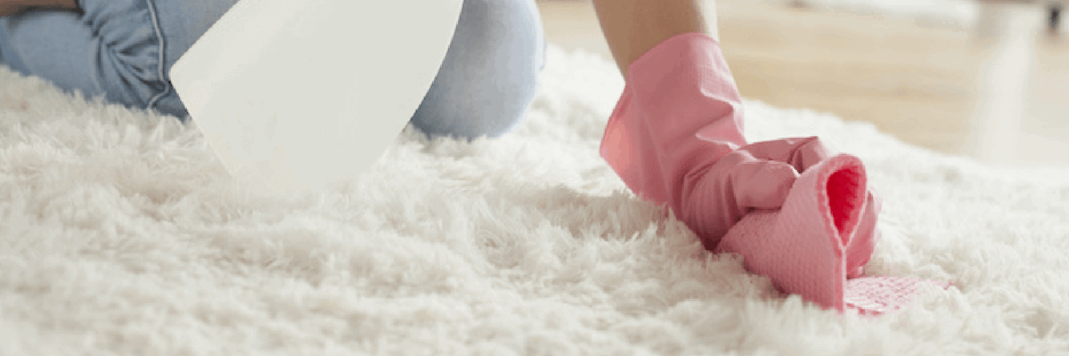 The Chemistry of Carpet Cleaning: The Basics