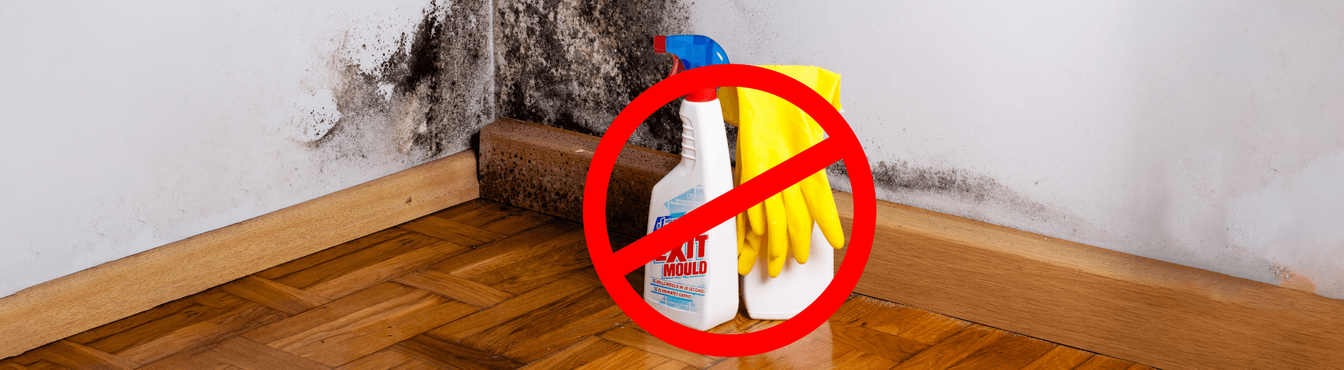 Why Bleach Should Be Avoided This Winter