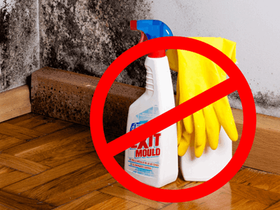 Why Bleach Should Be Avoided This Winter