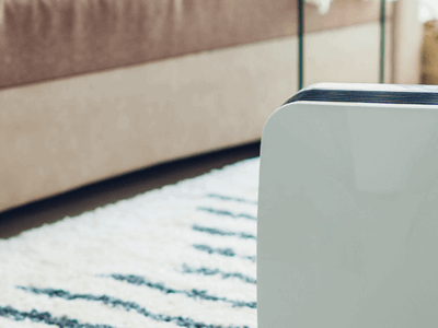 The 6 Reasons You Need A Dehumidifier Today